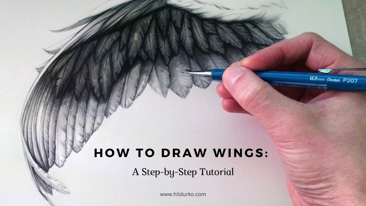 How to Draw Wings: A Step-by-Step Tutorial